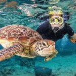 Public Snorkeling Trip