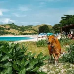 Kuta Lombok Cultural & Beach Tour