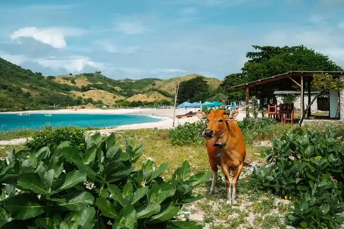 Kuta Lombok Cultural & Beach Tour